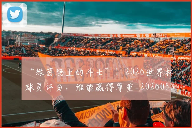 “绿茵场上的斗士”！2026世界杯球员评分，谁能赢得尊重_20260530144026