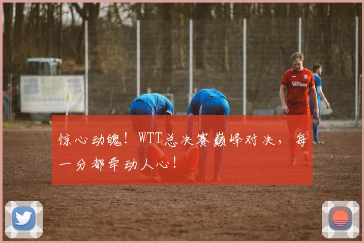 惊心动魄！WTT总决赛巅峰对决，每一分都牵动人心！