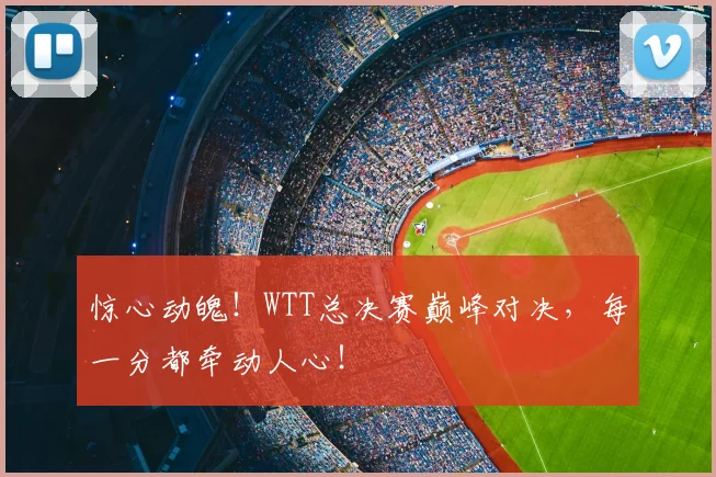 惊心动魄！WTT总决赛巅峰对决，每一分都牵动人心！